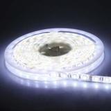 LED 冷白